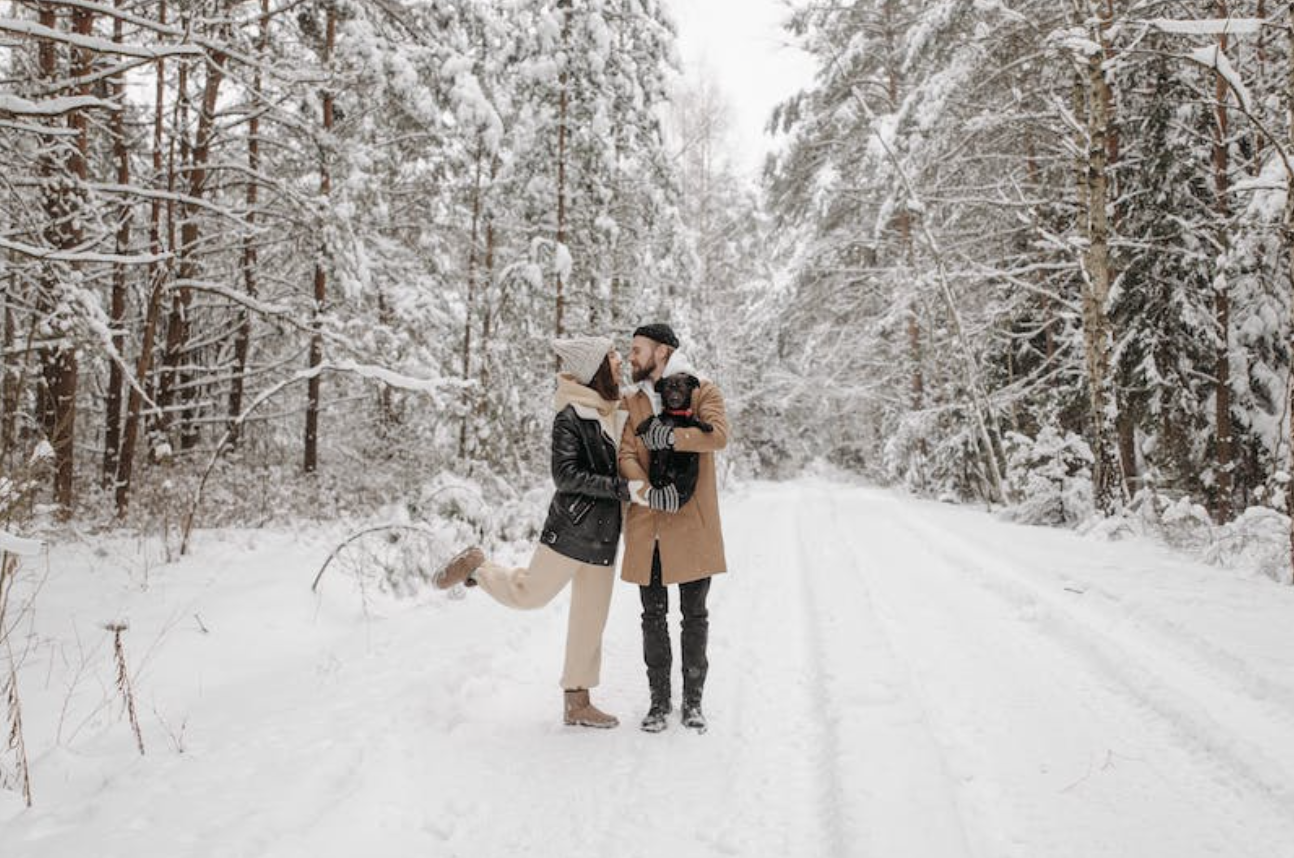 Two people kissing in the snow with a dog