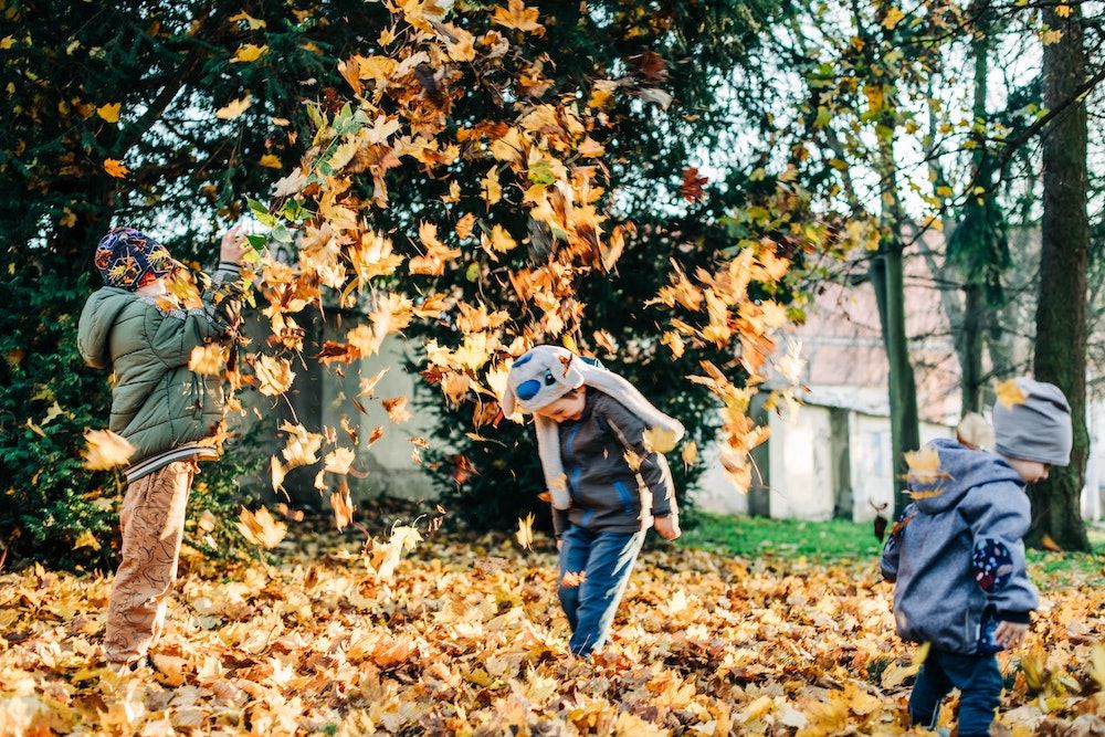 Kids playing in leaves